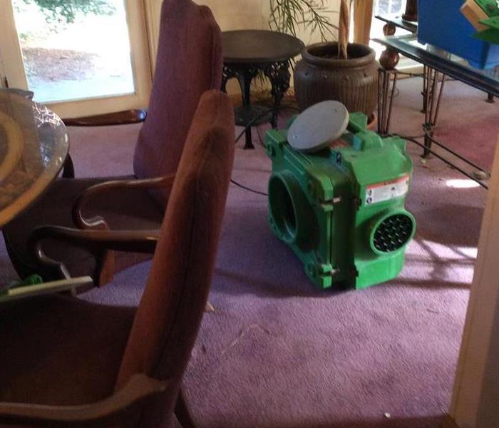 a piece of green equipment on purple carpet in a living room