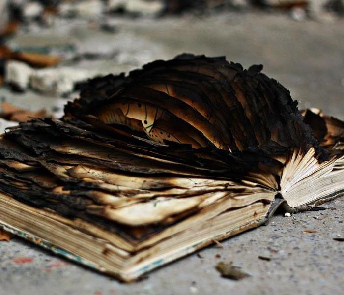 fire damage book