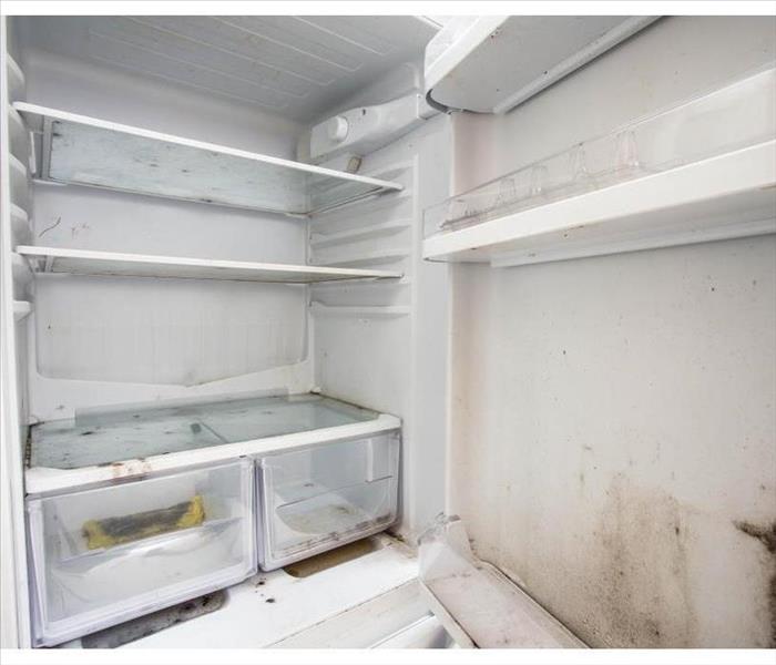 The inside of a refrigerator covered with mold