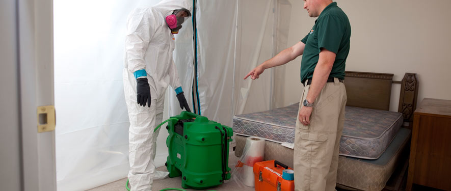 St. George, UT mold removal process